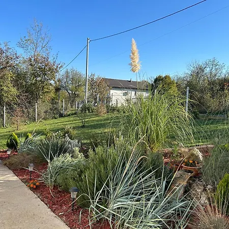 Feriehus Lola Hill House