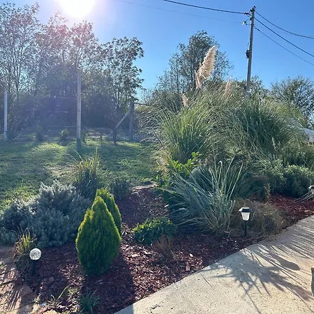 Lola Hill House Feriehus *